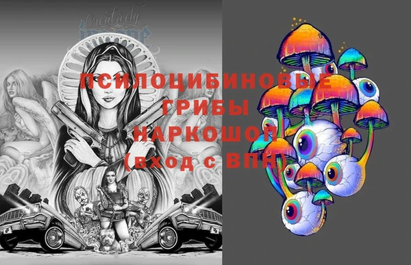 ECSTASY Бородино