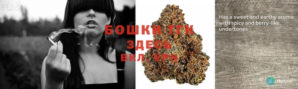 ECSTASY Бородино
