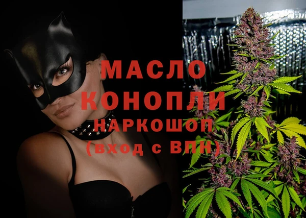 ECSTASY Бородино
