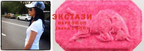 ECSTASY Бородино