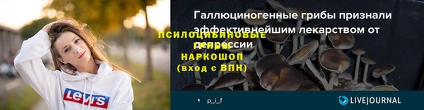 эйфоретик Бронницы
