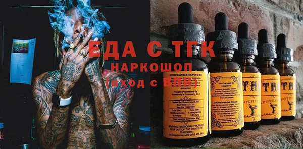 ECSTASY Бородино