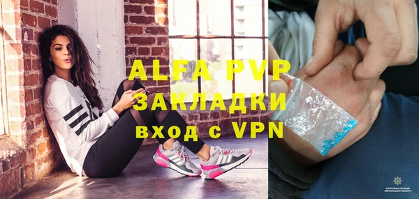 спиды Богородицк