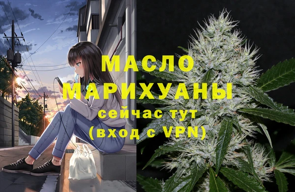 ECSTASY Бородино