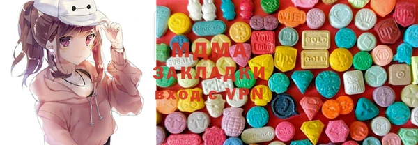 ECSTASY Бородино