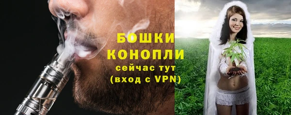 ECSTASY Бородино