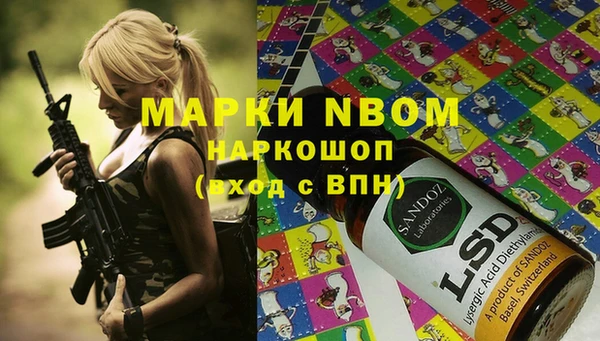 ECSTASY Бородино