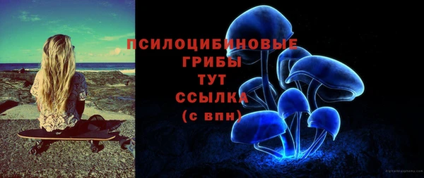 эйфоретик Бронницы