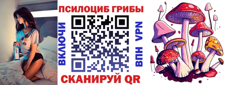 где можно купить наркотик  Хабаровск  Псилоцибиновые грибы мицелий 